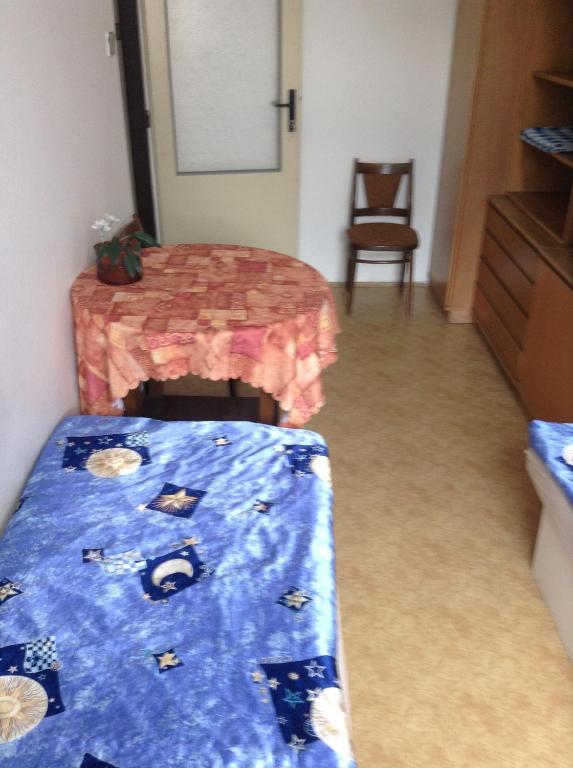 At Pension Ceske Budejovice Cameră foto