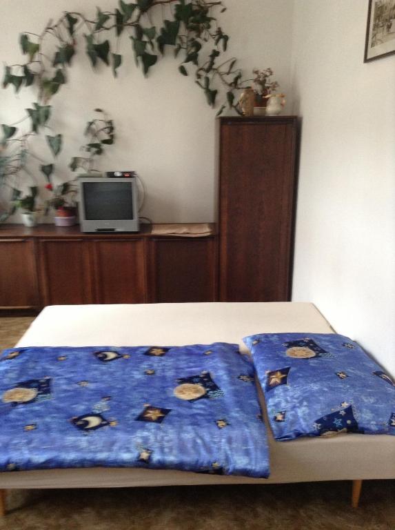 At Pension Ceske Budejovice Cameră foto