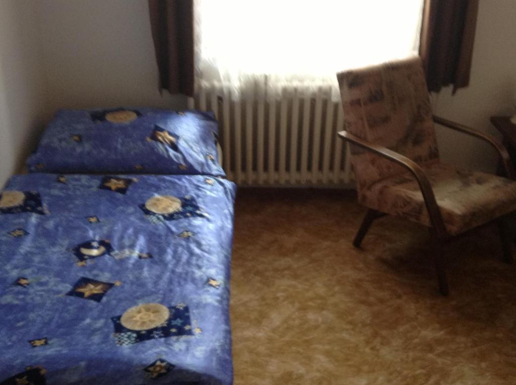 At Pension Ceske Budejovice Cameră foto