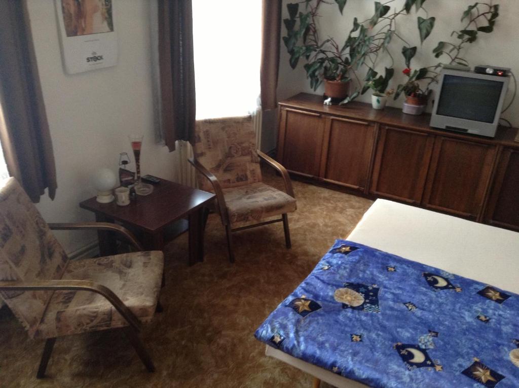 At Pension Ceske Budejovice Cameră foto